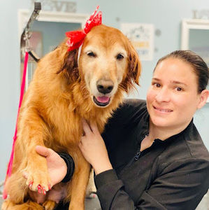 Meet your Posher, Daisy